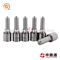 Diesel Pump Nozzle Fit For Vw Diesel Injector Nozzles - img3
