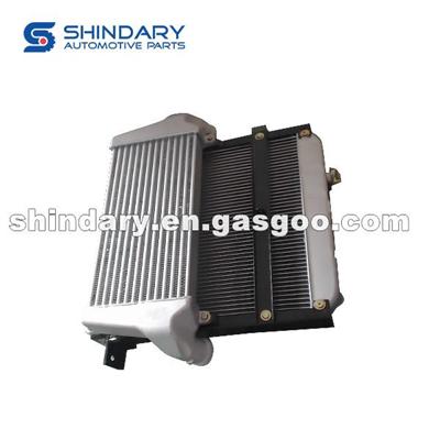 1301010D800 Radiator