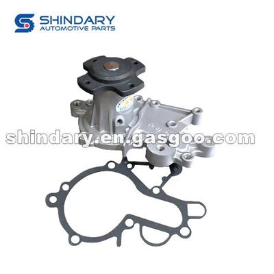 Y015-010 Water Pump