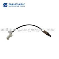 YC010-160 Oxygen Sensor