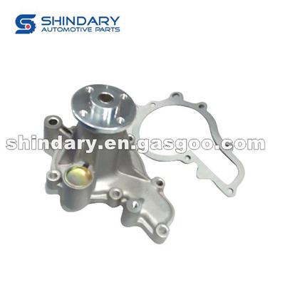 XY1307011-CG100 Water Pump