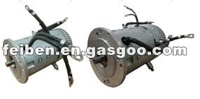 12V/24V REV Windlass Motor TSZ171 SERIES Dc Motor