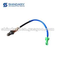 DSL0289 Oxygen Sensor