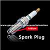 0242229869 spark plug Manufactory