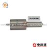Diesel Injector Nozzles DLLA136S1000/0 433 271 775 Common Rail Nozzle-Diesel Engine Injector Nozzle