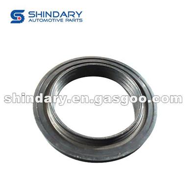 4890832 OIL SEAL