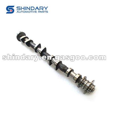 488QA-1006100 Intake Camshaft