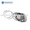 1004030A0100 Piston Ring