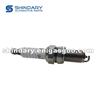 1000928D0000A Spark Plug