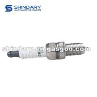 1000928-D00-00 Spark Plug