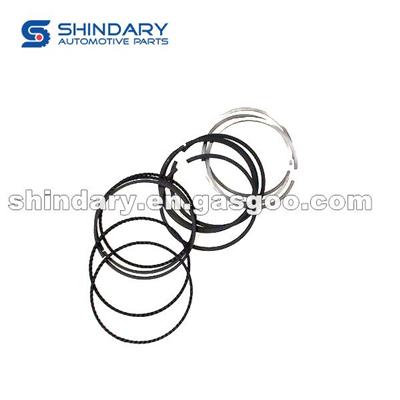 484J-1004030 Piston Ring