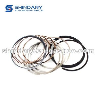 1004026-10401 Piston Ring