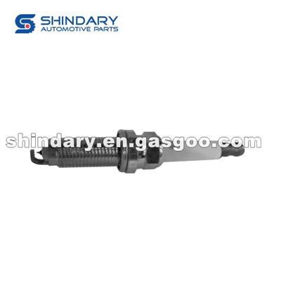 10162965 Spark Plug