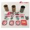 3T75 Engine Rebuild Kit Piston Ring Liner Gasket Bearing Valve - img2