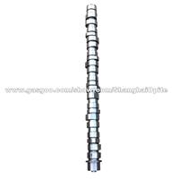 Camshaft 20758404