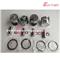 SHIBAURA N843L Piston Ring Cylinder Liner Kit - img1