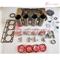 V1903 Engine Rebuild Kit Piston Ring Liner Gasket Bearing Valve - img2
