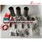S3L Engine Rebuild Kit Piston Ring Liner Gasket Bearing Valve - img1