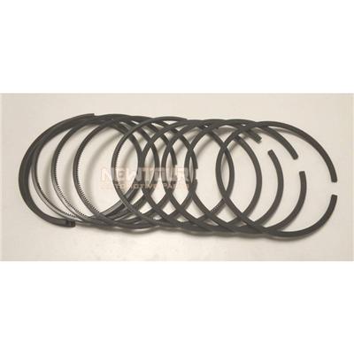 Piston Ring STD 1004020-E06 For Great Wall Wingle 5