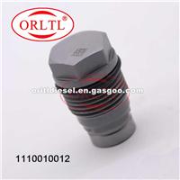 504130662 4937283 Spare Parts Fuel Pressure Regulator Valve 5041306620 Common Rail Pressure Reducing Valve 1110010012