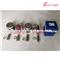 PERKINS Excavator Engine 404D Piston Kit - img1