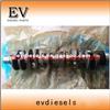 DEUTZ Engine Excavator F6M1011 Crankshaft Camshaft