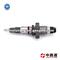 Diesel Common Rail Injector For Man Fuel Injector Catalog - img5