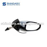 Outer Mirror-R 3919520