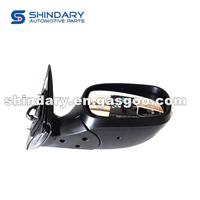Outer Mirror-R 4519570