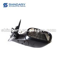 Outer Mirror-R 4519560