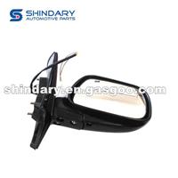 Outer Mirror-R 10172879-00
