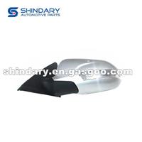 Outer Mirror-L S101112-0103