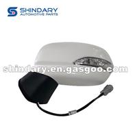 Outer Mirror-L 8202100-Q08