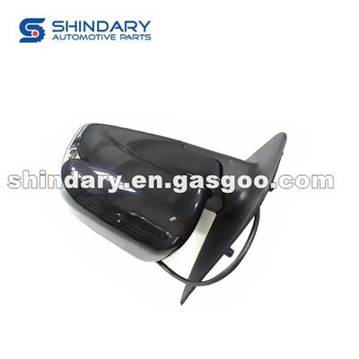 Outer Mirror-L 8202010-T02