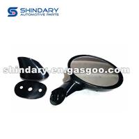 Outer Mirror-R S11-8202020BL-DQ