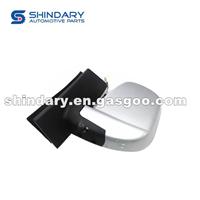 Outer Mirror-L J62-8202210AB