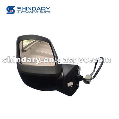 Outer Mirror-R 8202200-Q08