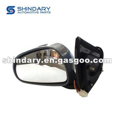 Outer Mirror-L A13-8202010-DQ