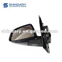 Outer Mirror-R 5496205