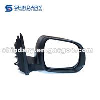 Outer Mirror-R BM3-8202010-SX6