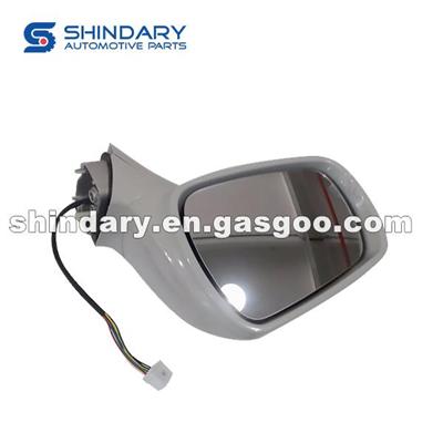 Outer Mirror-L B12-8202011