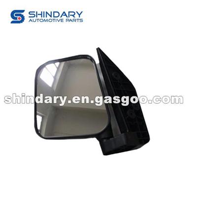 Outer Mirror-L 8202020-01