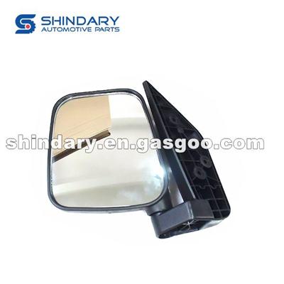 Outer Mirror-L 8202020-02