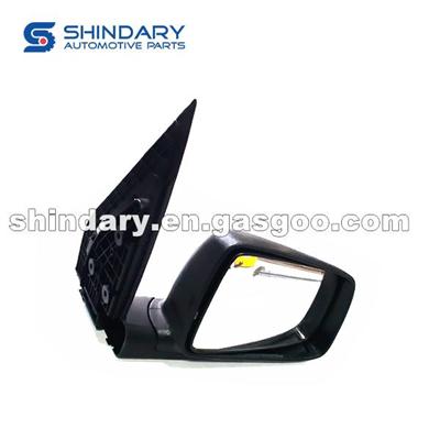 Outer Mirror-R 8202210-92