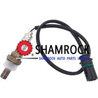 11787530285 2006 Petrol Lambda Sensor Oxygen Sensor OEM 11787537995 / 11787530318 / 7530287