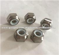 Titanium Alloy Self-Locking Nylon Hexagon Nut - DIN985 6al4V Grade 5