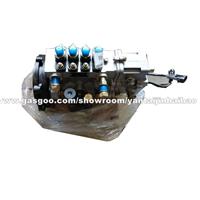 Shandong Kangda High Pressure Fuel Injection Pump BH4Q80R8(4Q125b1-1 ) 4 Cylinder Fuel Injection Pump For Yangzhou Power YSD490Q