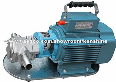 WCB Portable Gear Oil Pump