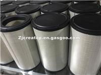 High Quality Air Filter 2465009 P781098