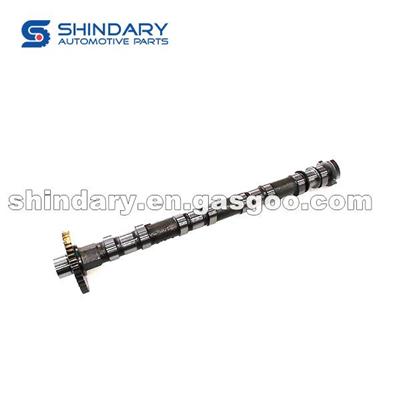 1006100-ED01-B Camshaft Assy